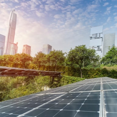 Solar panels with a park and skyscrapers in the background